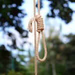 pngtree-gallows-hanging-rope-fear-execution-nobody-photo-image_33448960